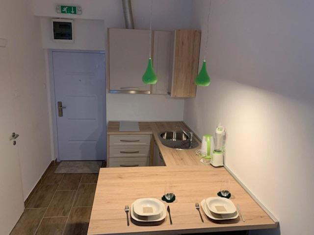 Studio Apartment In Center Of Zagreb "Vidra" 外观 照片